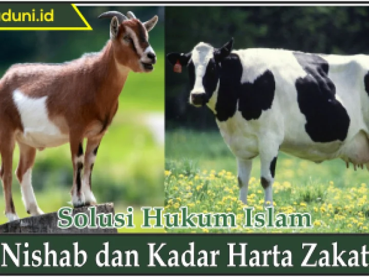 Nishab dan Kadar Harta Zakat